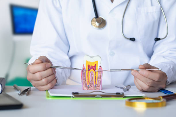Best Broken or Cracked Tooth Emergency Dentist in River Oaks, TX